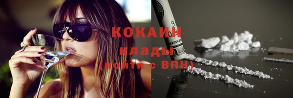 мдпв Михайловск