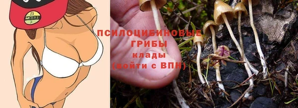 мдпв Михайловск