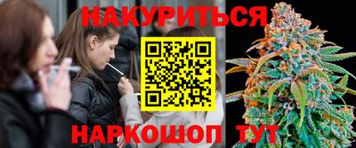 спиды Камышлов