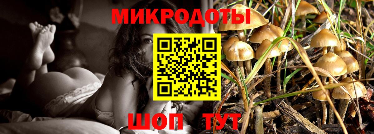 Псилоцибиновые грибы ЛСД Обнинск