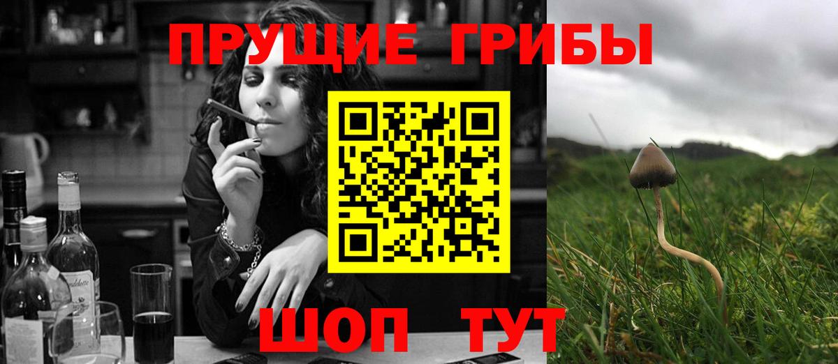 Галлюциногенные грибы мицелий  Обнинск 