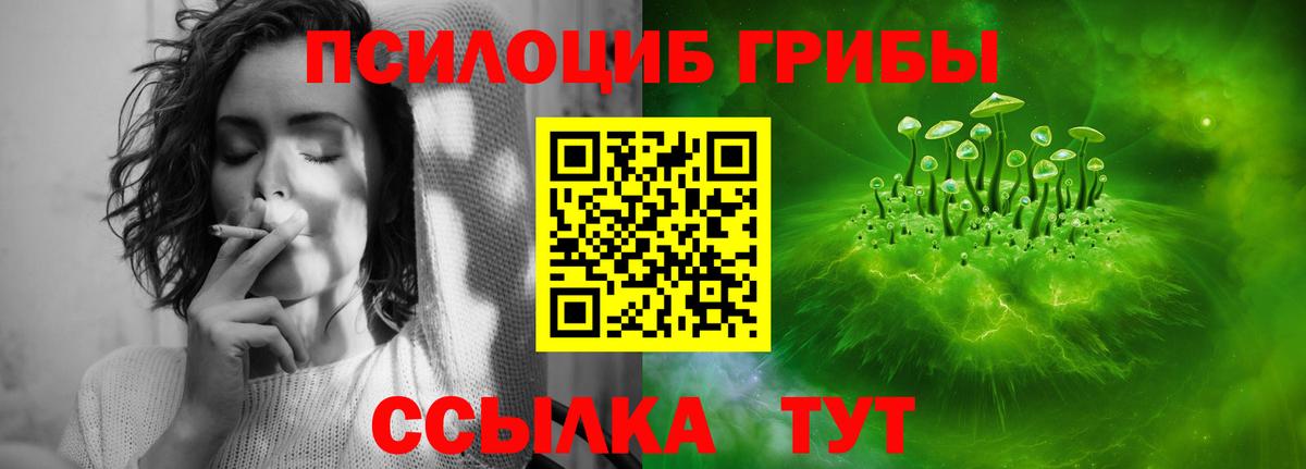 Каннабис  Вход с VPN  Канабис  Alpha-PVP  Метамфетамин  Обнинск  Molly  МЕФ  COCAIN  ГАШИШ  МДМА  Мефедрон  Кокаин 
